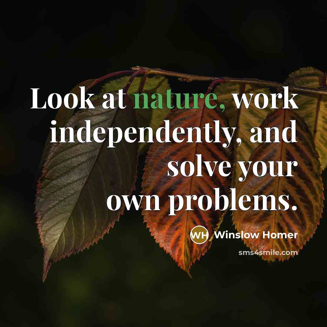 “Look at nature, work independently, and solve your own problems.…” quote by Winslow Homer