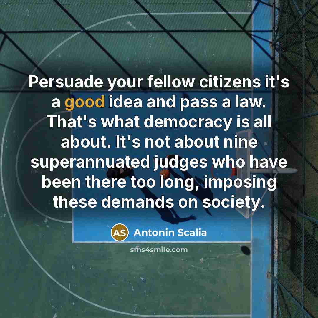 “Persuade your fellow citizens it's a good idea and pass…” quote by Antonin Scalia