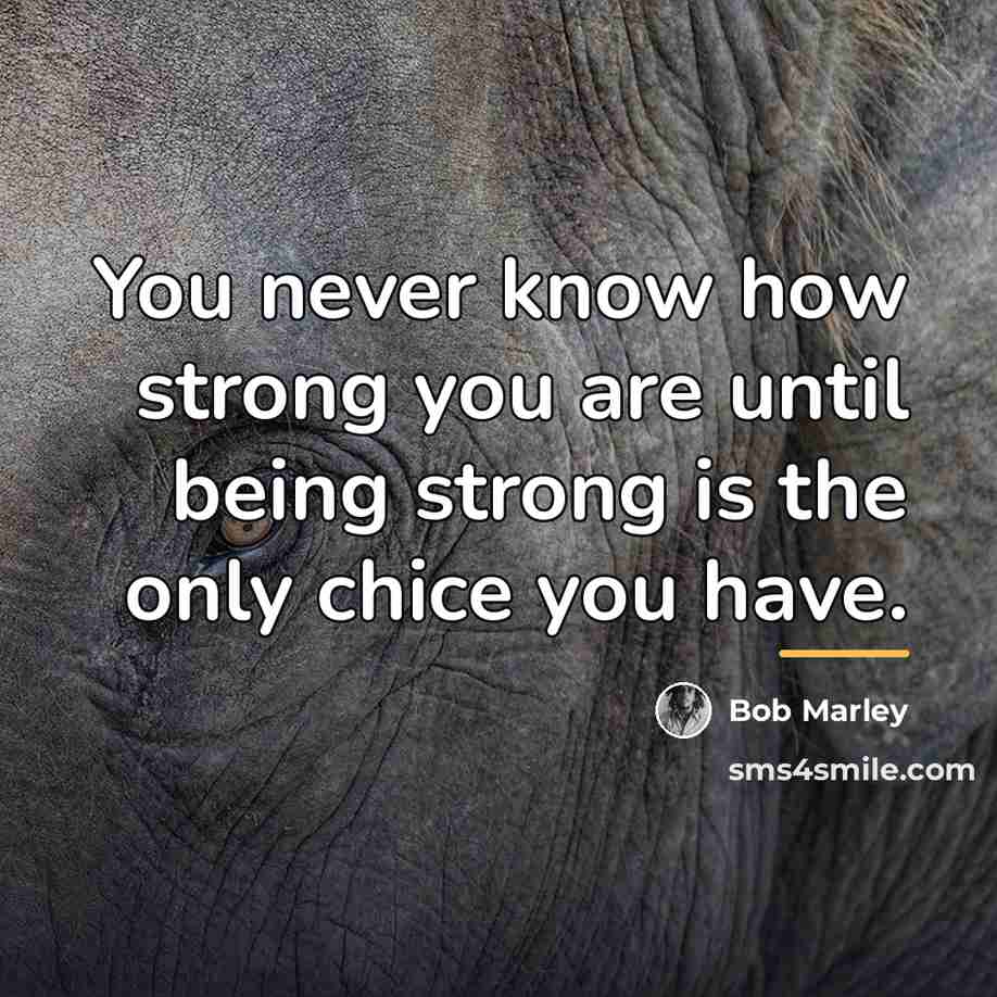 “You never know how strong you are until being strong…” quote by bob Marley