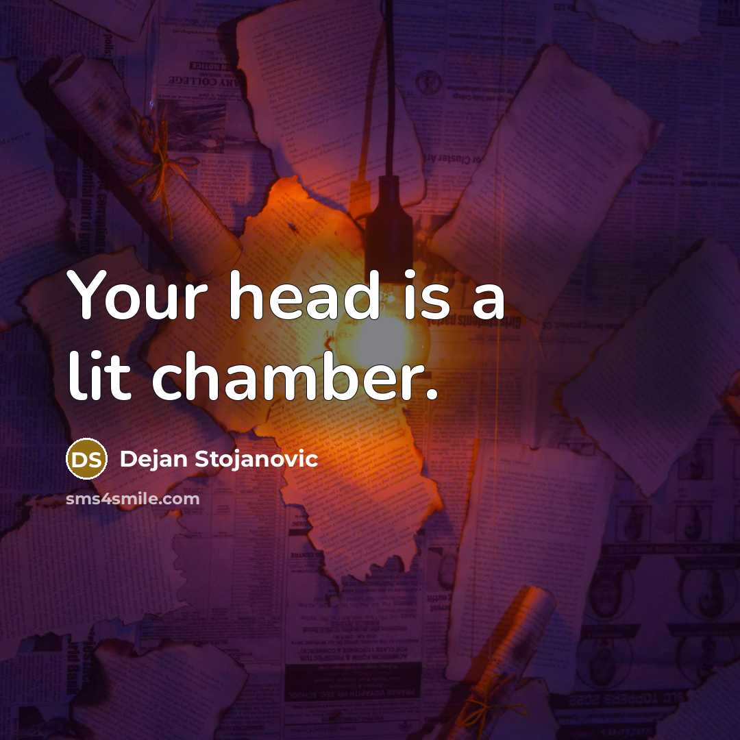 “Your head is a lit chamber.…” quote by Dejan Stojanovic
