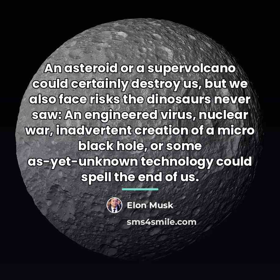 “An asteroid or a supervolcano could certainly destroy us, but…” quote by Elon Musk