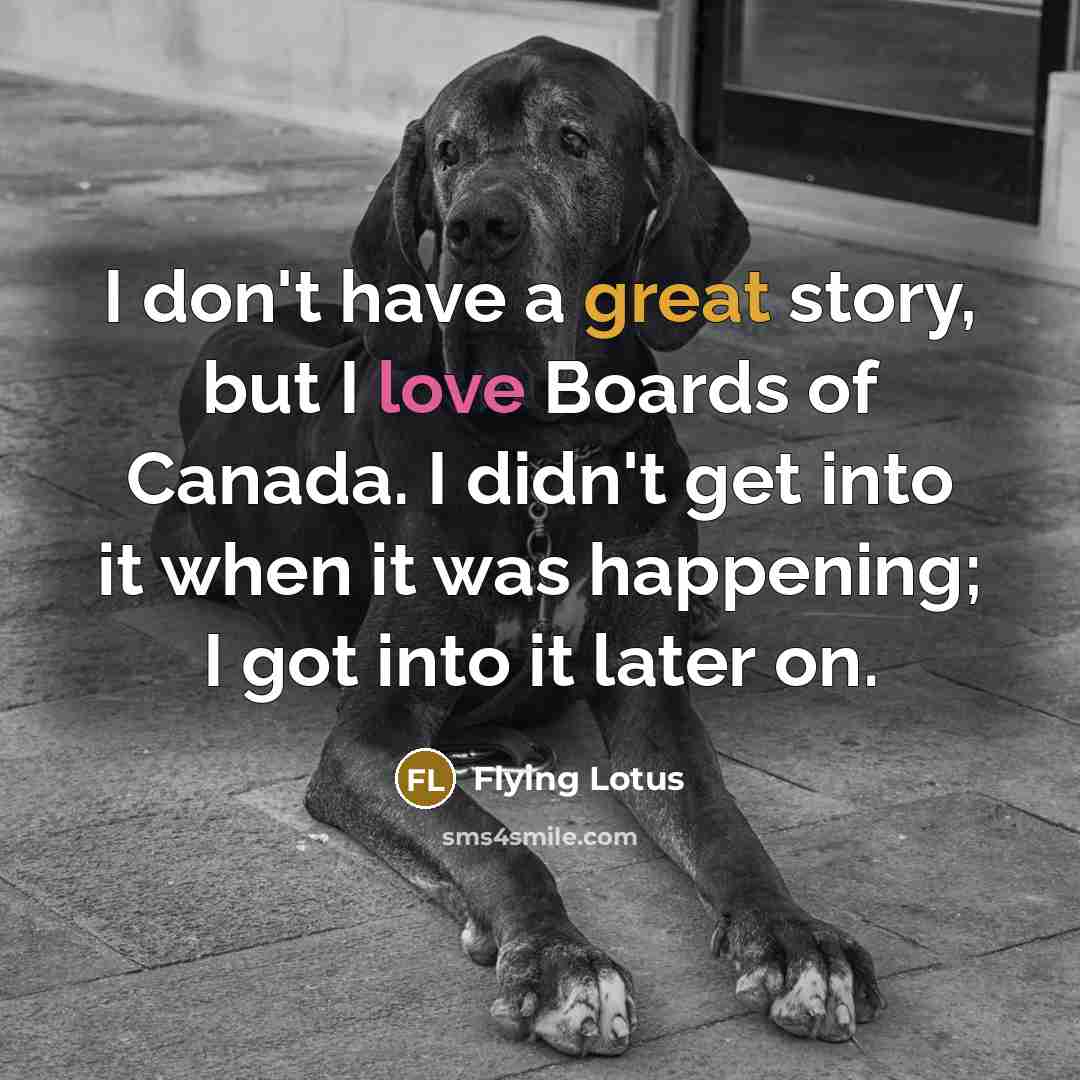 “I don't have a great story, but I love Boards of Canada. I didn't get into it when it was happening; I got into it later on.” quote by Flying Lotus