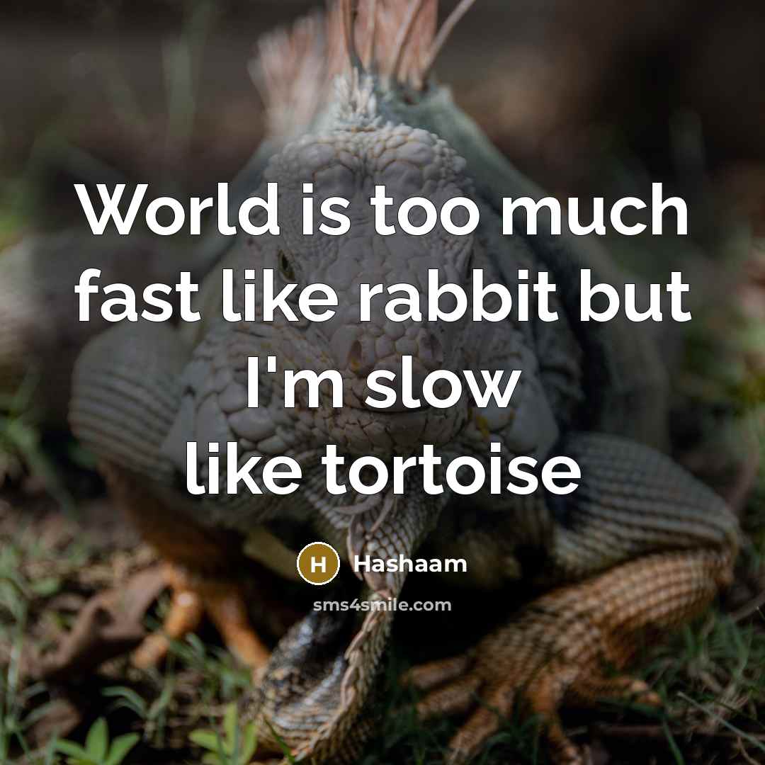 “World is too much fast like rabbit but I'm slow…” quote by Hashaam