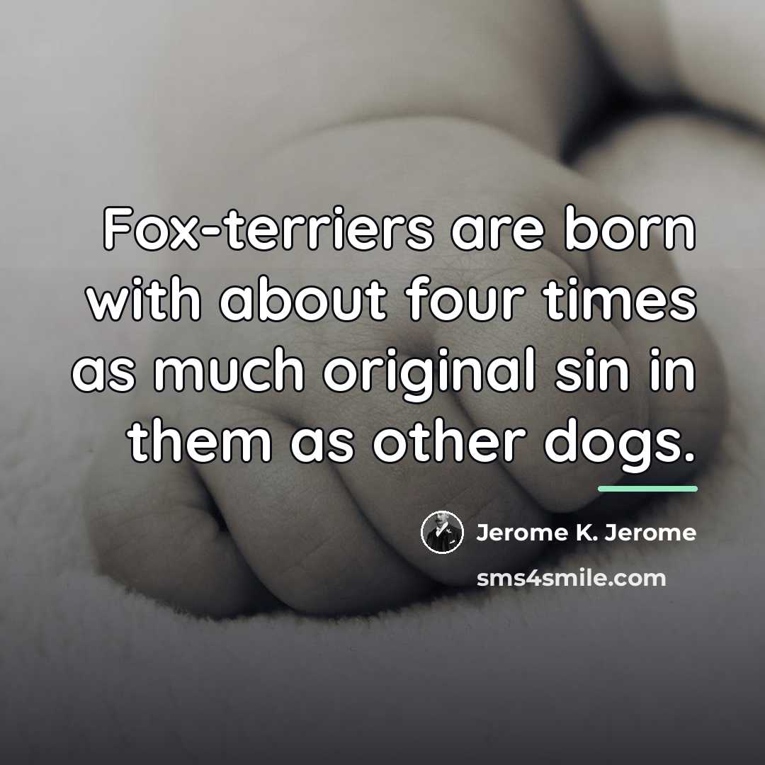 “Fox-terriers are born with about four times as much original…” quote by Jerome K. Jerome