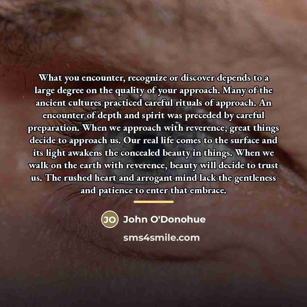 “What you encounter, recognize or discover depends to a large…” quote by John O'Donohue