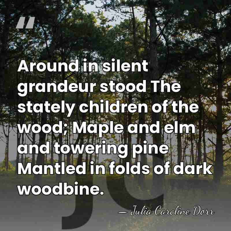 Around in silent grandeur stood The stately children of the wood; Maple&hellip; - Julia Caroline Dorr