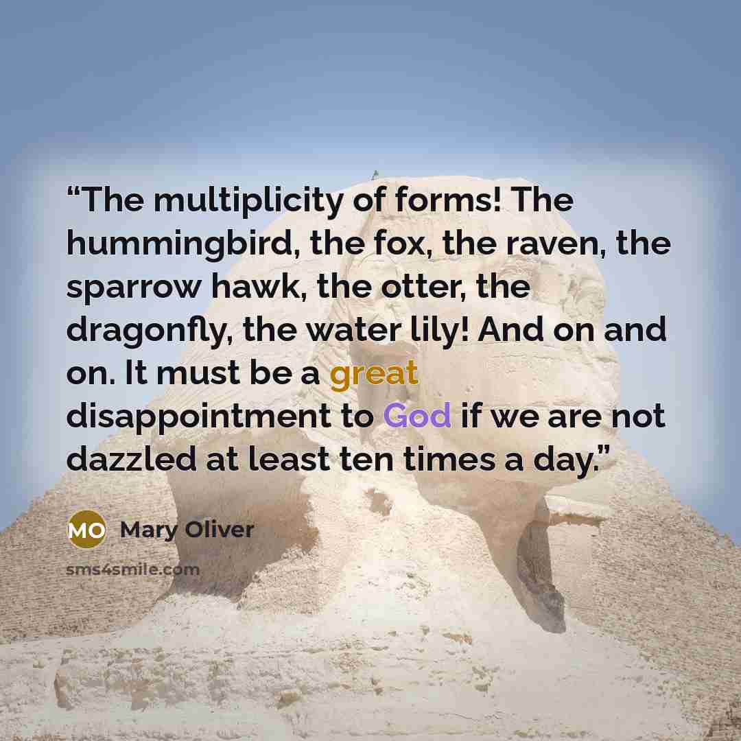 “The multiplicity of forms! The hummingbird, the fox, the raven, the sparrow hawk, the otter, the dragonfly, the water lily! And on and on. It must be a great disappointment to God if we are not dazzled at least ten times a day.” quote by Mary Oliver