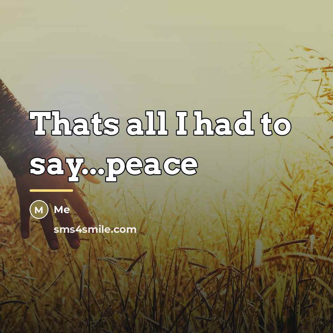 “Thats all I had to say...peace…” quote by Me