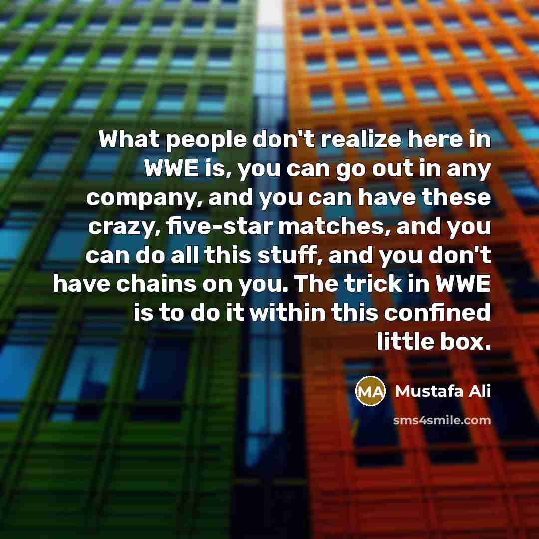 “What people don't realize here in WWE is, you can…” quote by Mustafa Ali