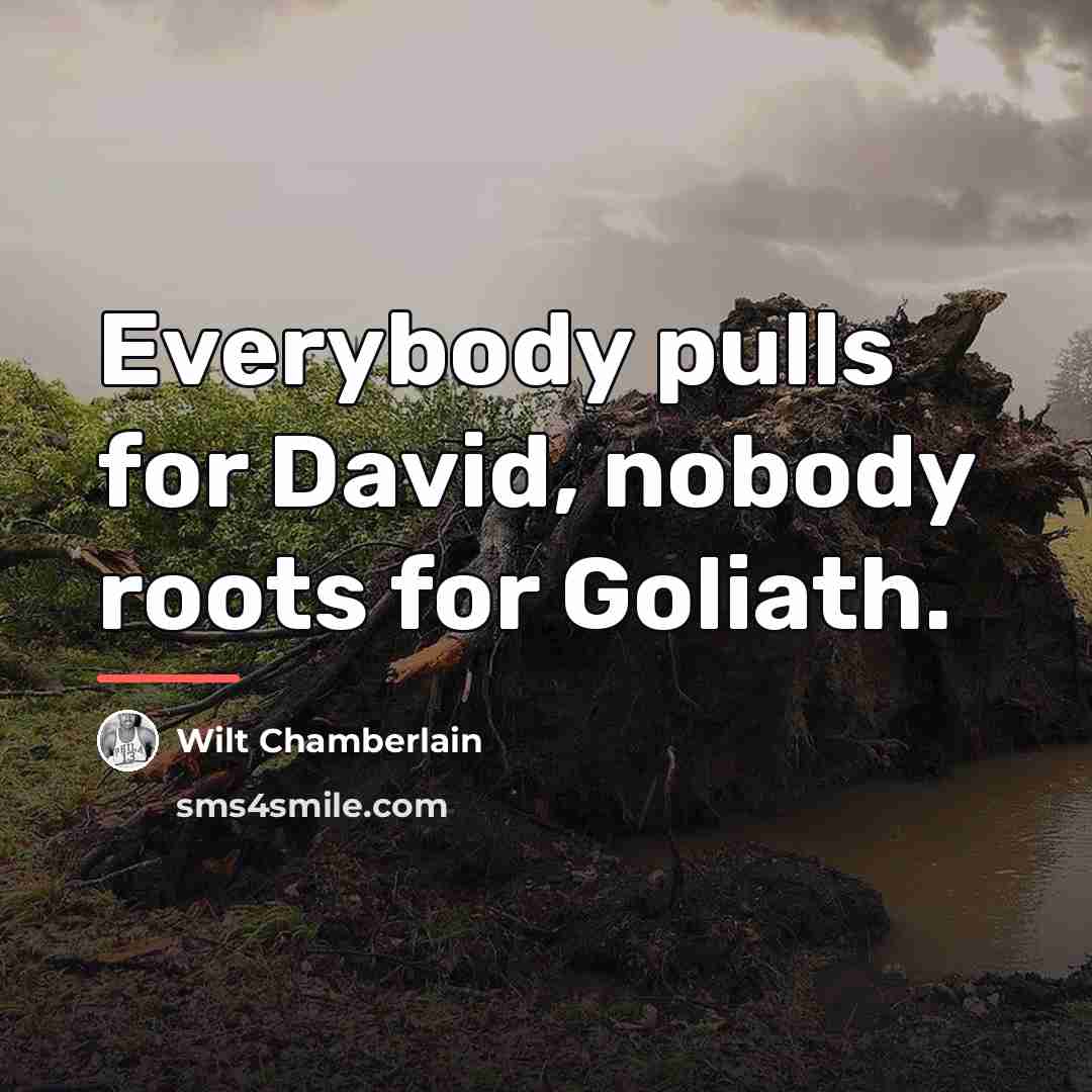 “Everybody pulls for David, nobody roots for Goliath.…” quote by Wilt Chamberlain