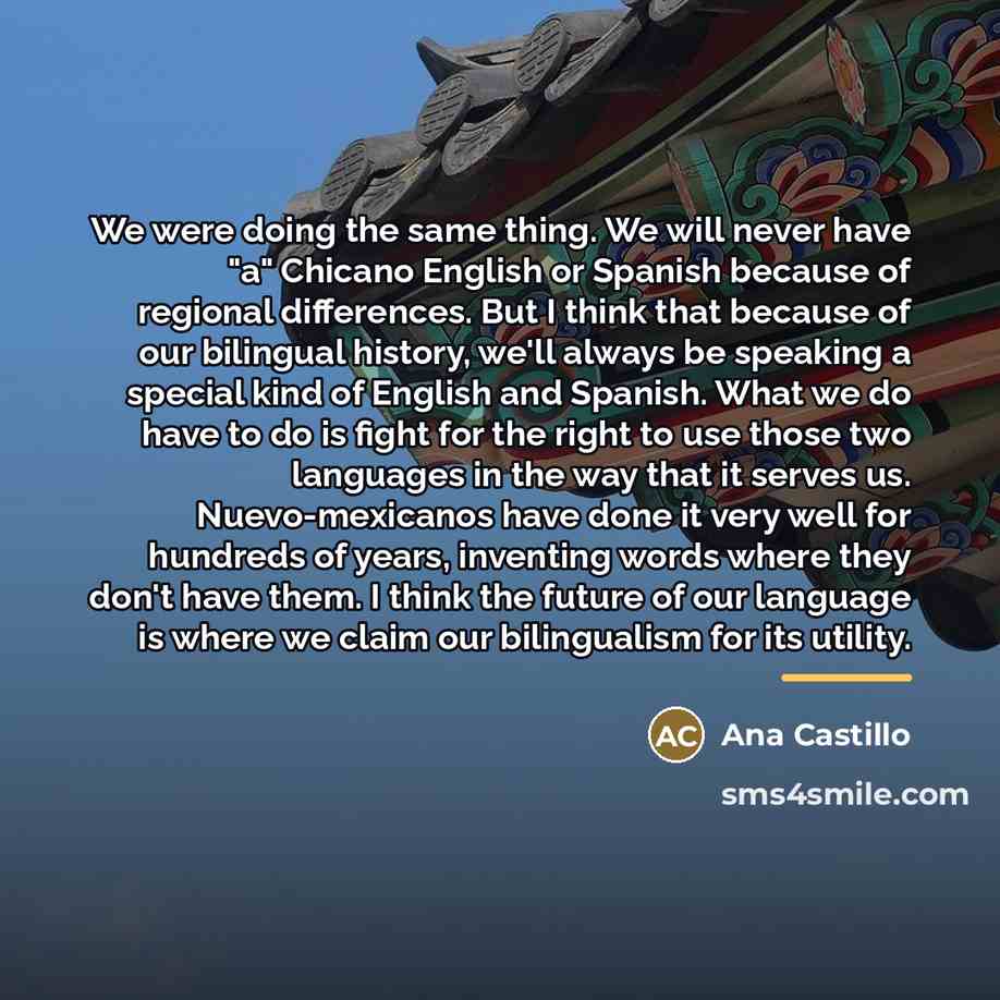 “We were doing the same thing. We will never have…” quote by Ana Castillo