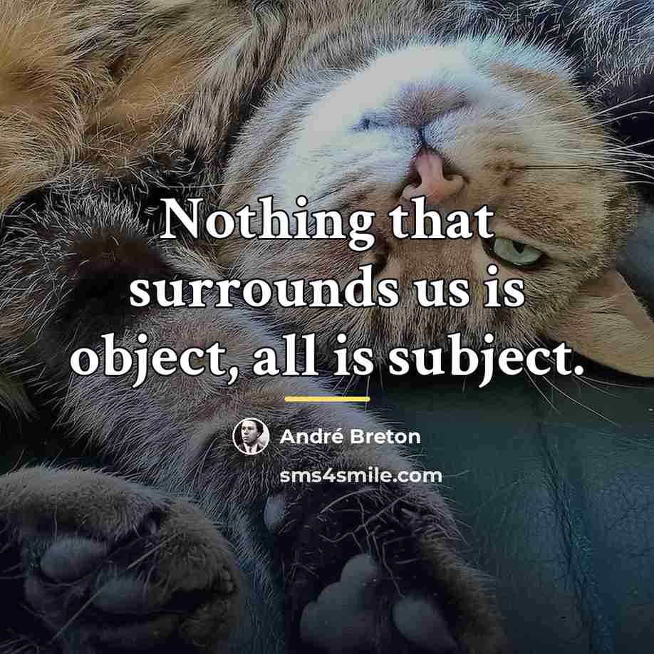 “Nothing that surrounds us is object, all is subject.…” quote by Andre Breton