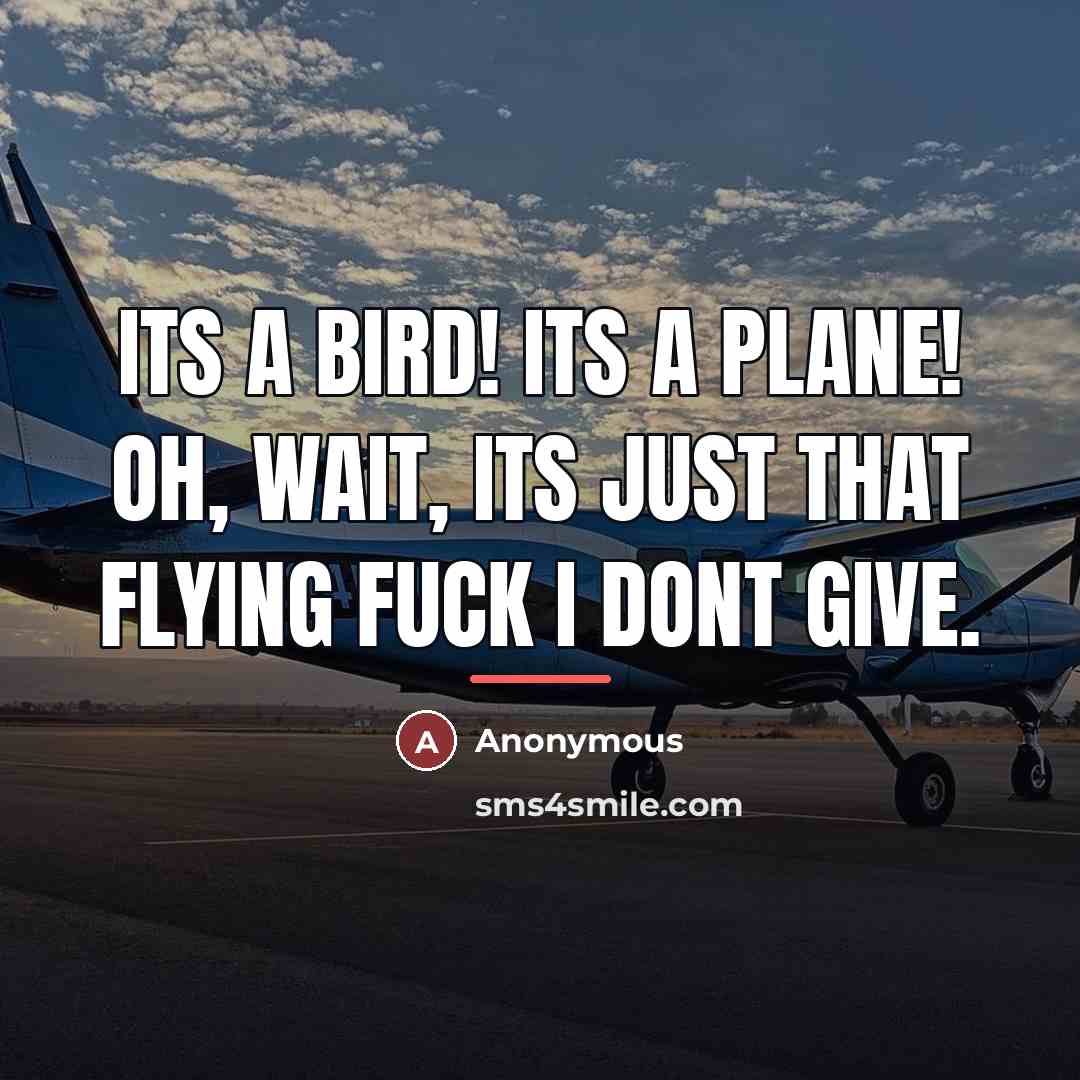 “Its a bird! its a plane! oh, wait, its just…” quote by Anonymous