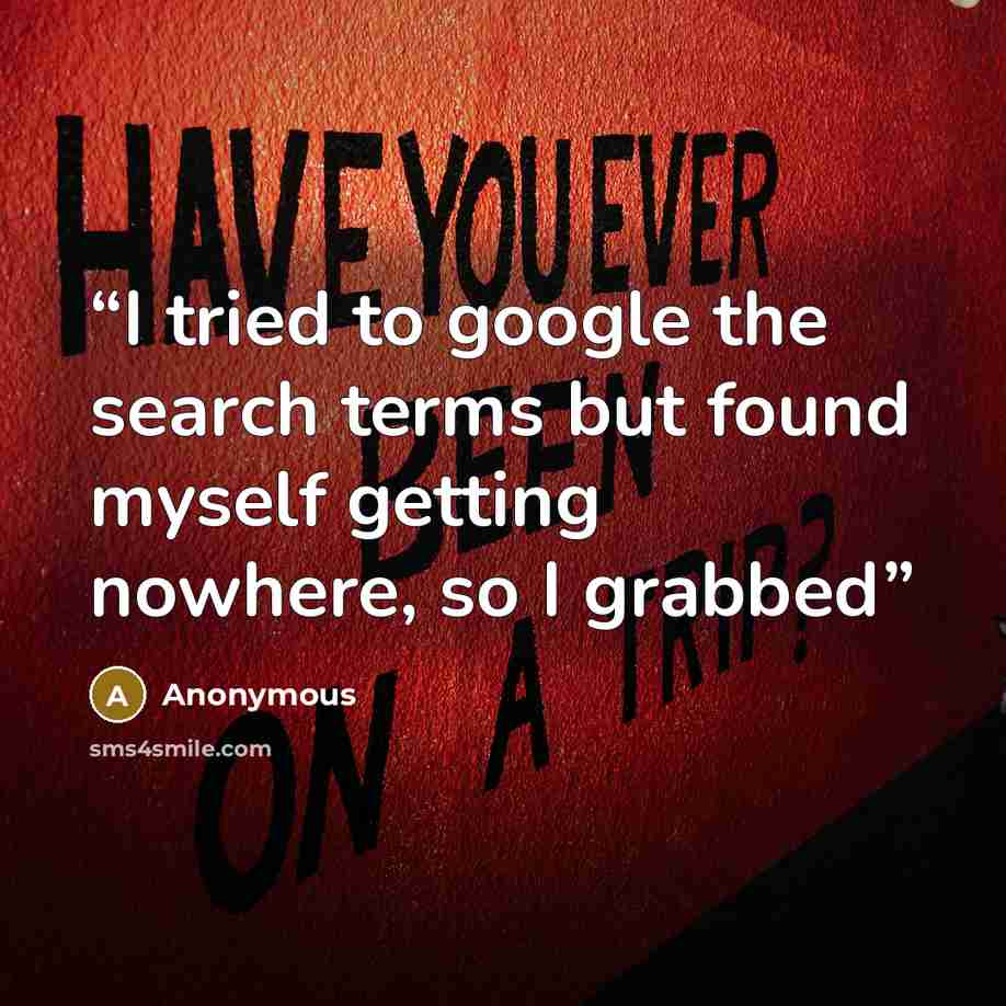 “I tried to google the search terms but found myself getting nowhere, so I grabbed” quote by Anonymous