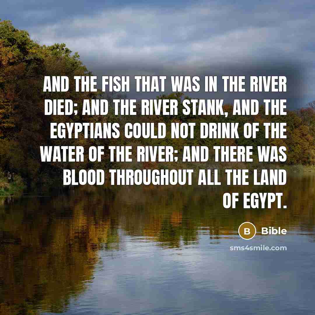 “And the fish that was in the river died; and…” quote by Bible