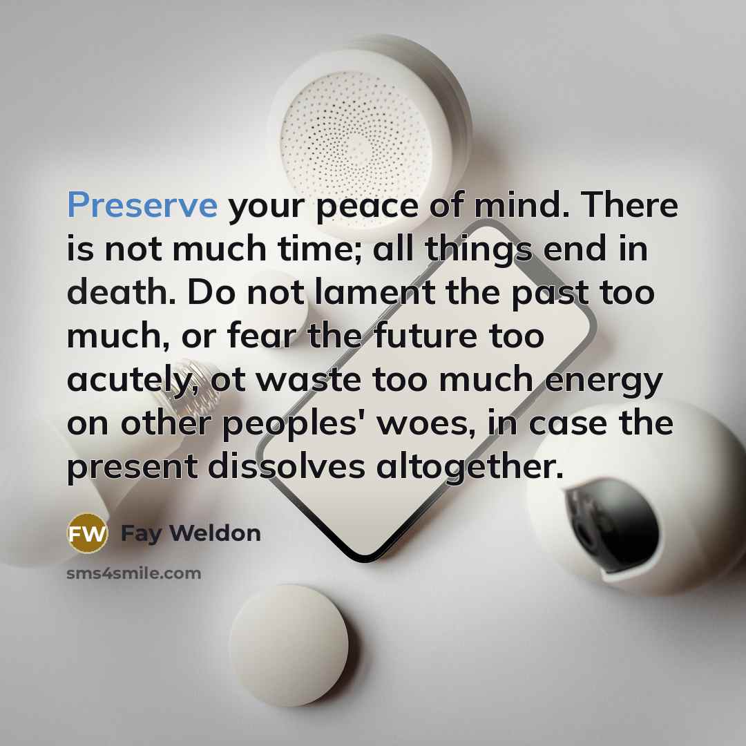 “Preserve your peace of mind. There is not much time;…” quote by Fay Weldon