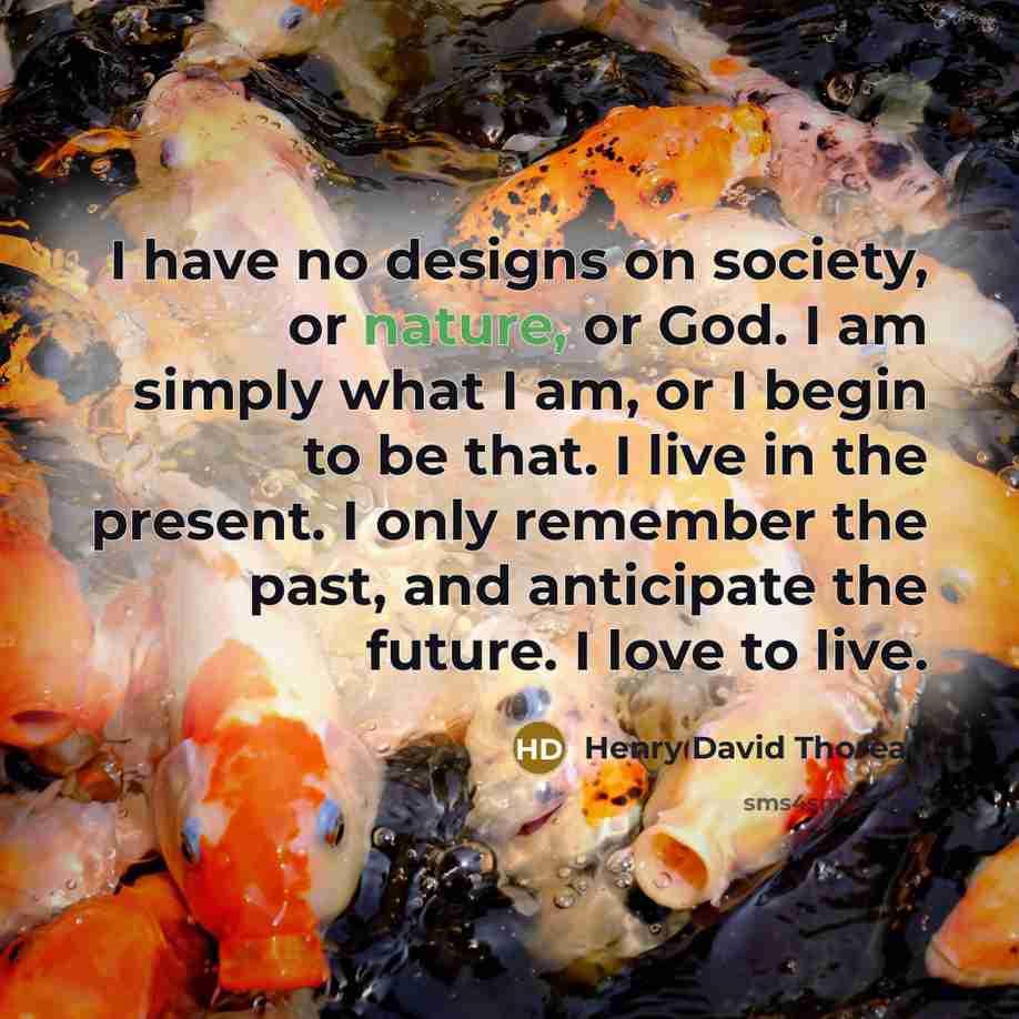 “I have no designs on society, or nature, or God.…” quote by Henry David Thoreau