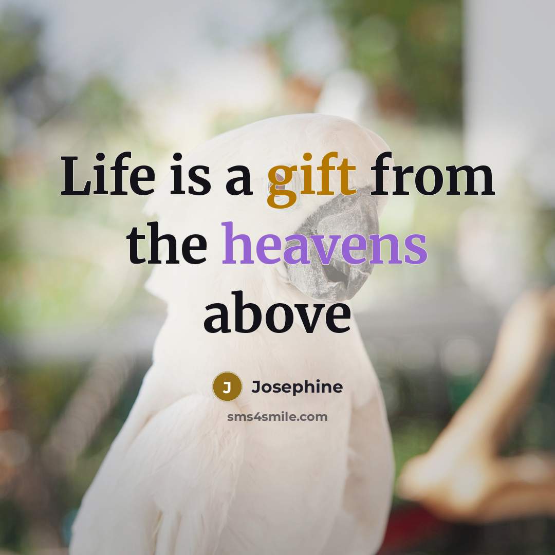 “Life is a gift from the heavens above…” quote by Josephine