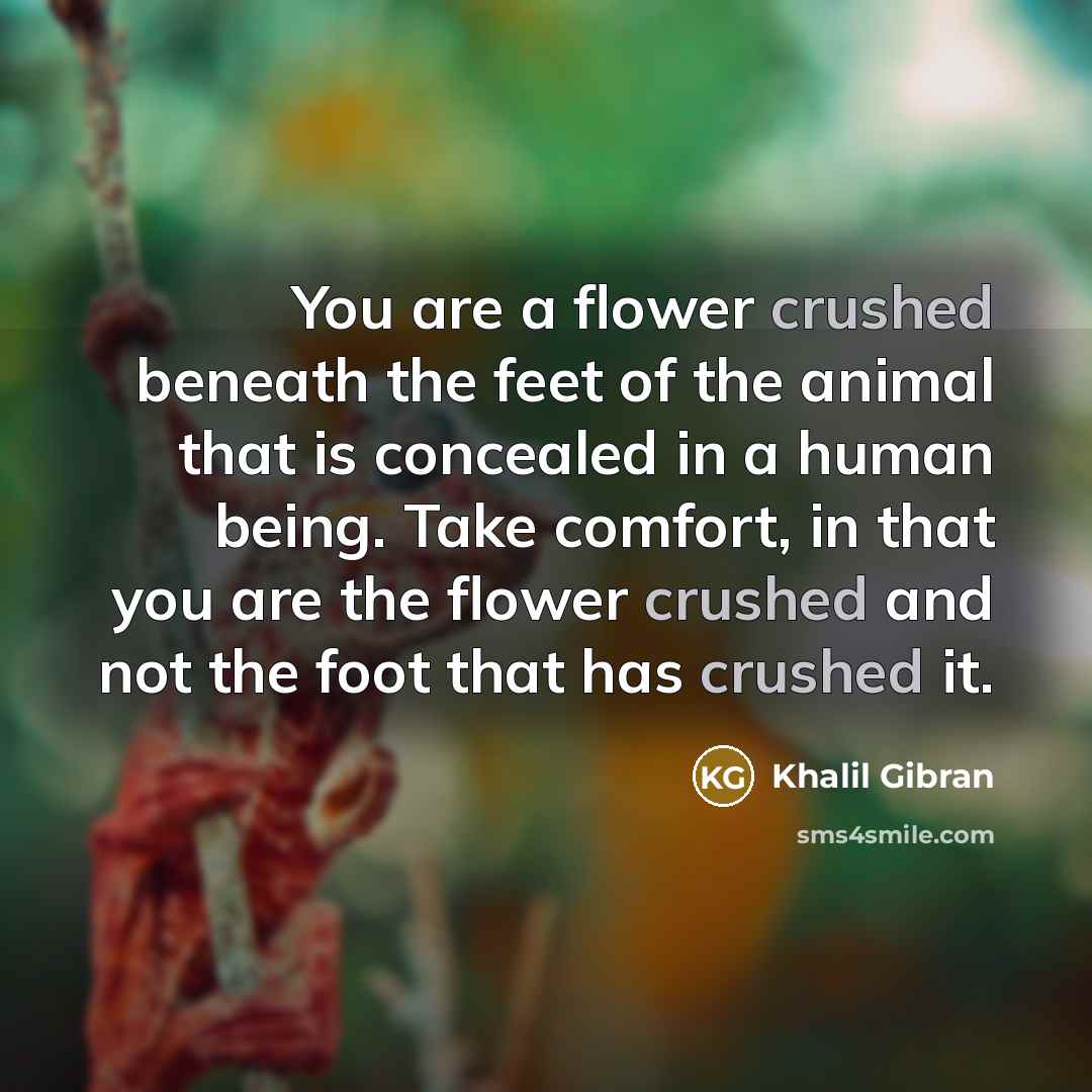 “You are a flower crushed beneath the feet of the…” quote by Khalil Gibran
