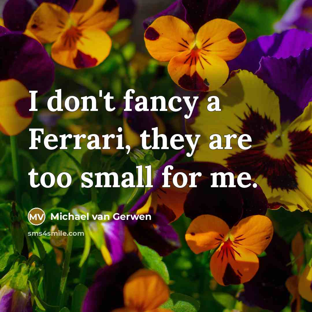 “I don't fancy a Ferrari, they are too small for…” quote by Michael van Gerwen