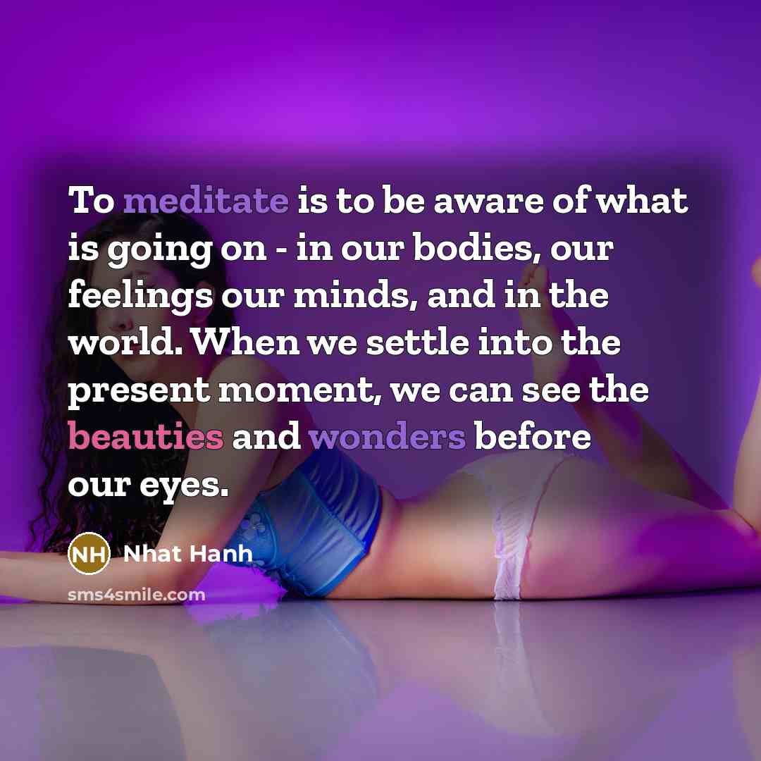 “To meditate is to be aware of what is going…” quote by Nhat Hanh