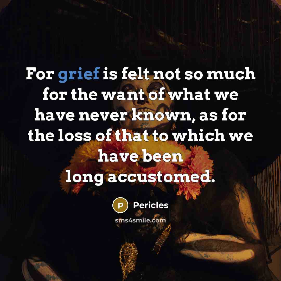 “For grief is felt not so much for the want…” quote by Pericles