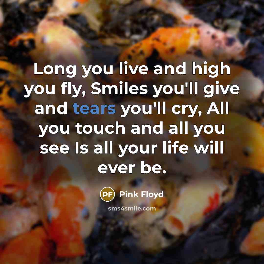 “Long you live and high you fly, Smiles you'll give…” quote by Pink Floyd