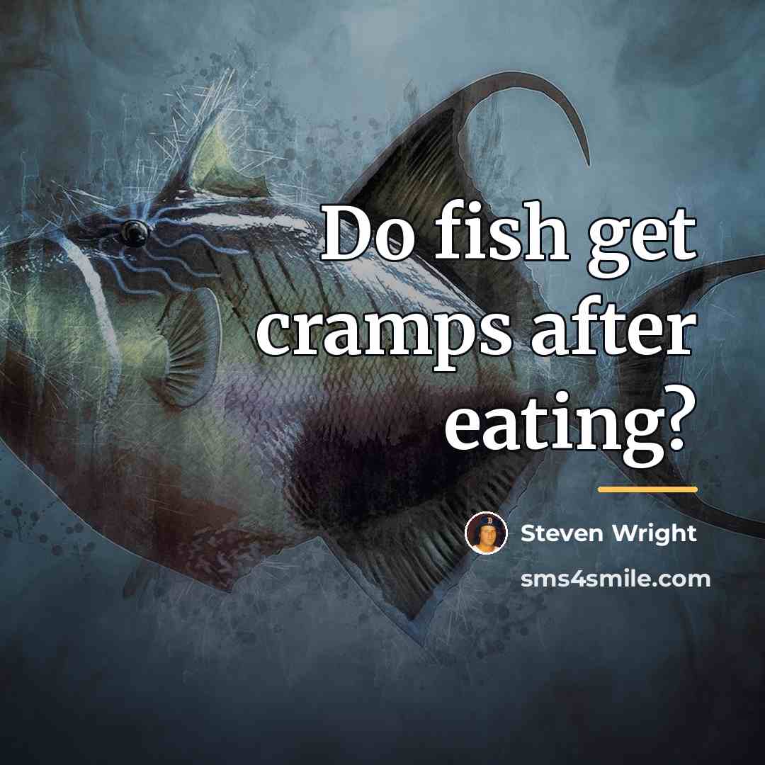 “Do fish get cramps after eating?…” quote by Steven Wright