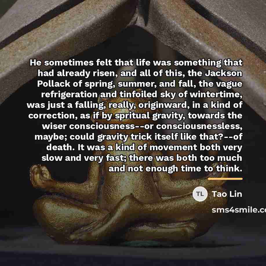“He sometimes felt that life was something that had already…” quote by Tao Lin