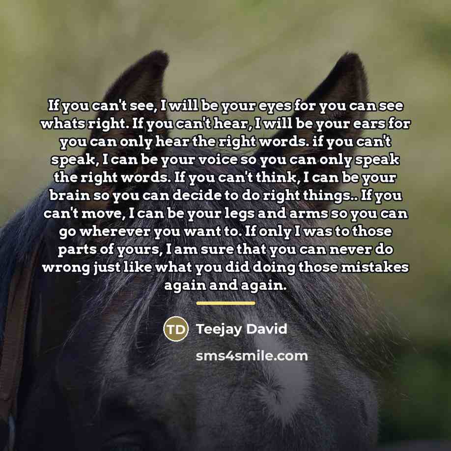“If you can't see, I will be your eyes for…” quote by Teejay David