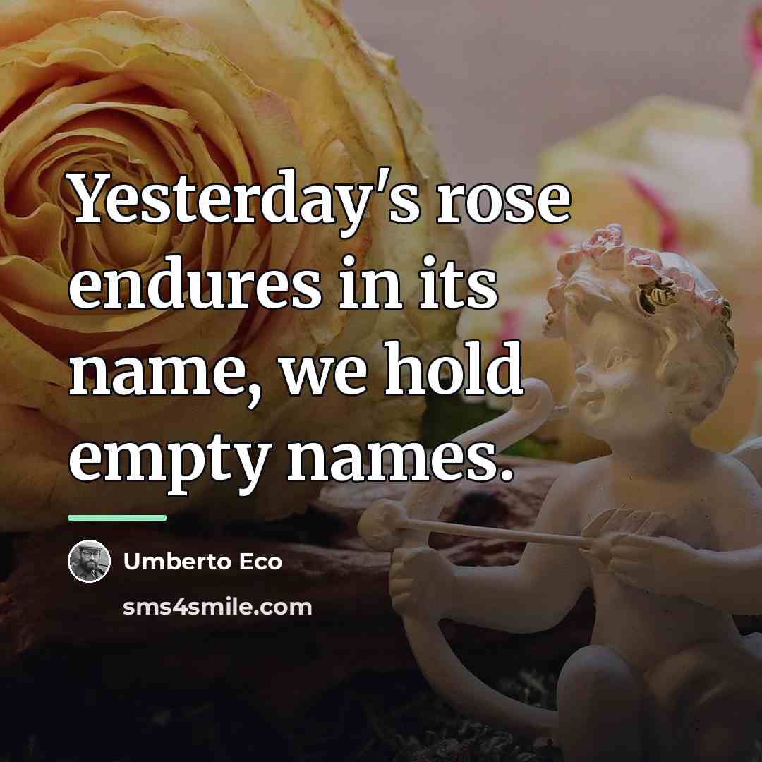 “Yesterday's rose endures in its name, we hold empty names.…” quote by Umberto Eco