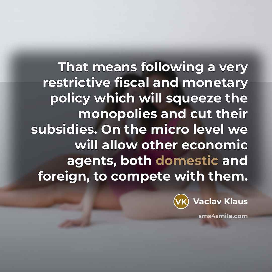 “That means following a very restrictive fiscal and monetary policy…” quote by Vaclav Klaus