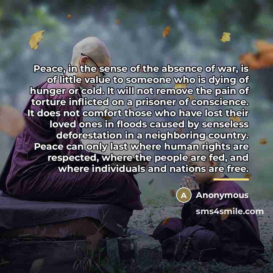 “Peace, in the sense of the absence of war, is…” quote by Anonymous