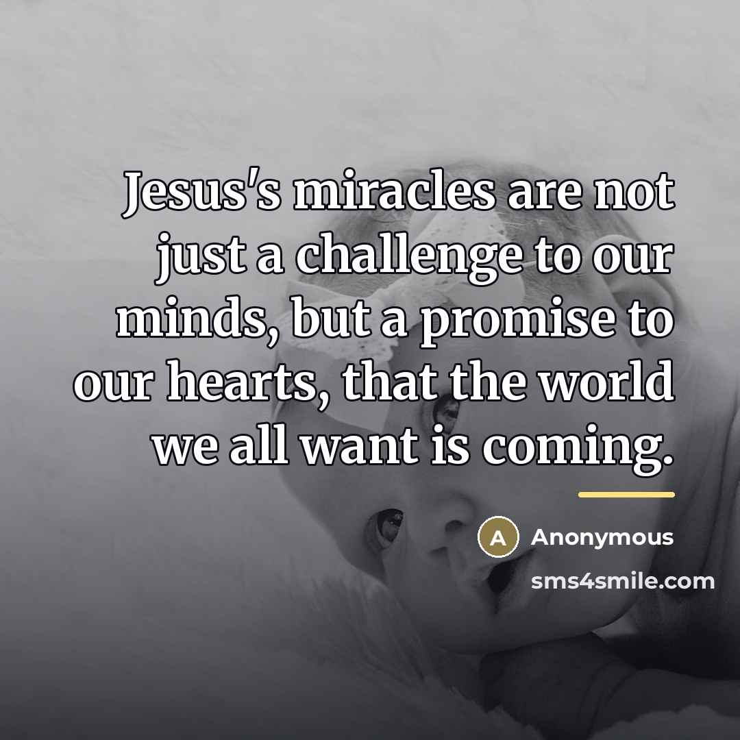 “Jesus's miracles are not just a challenge to our minds,…” quote by Anonymous