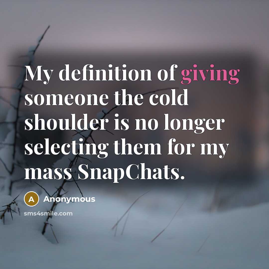 “My definition of giving someone the cold shoulder is no…” quote by Anonymous
