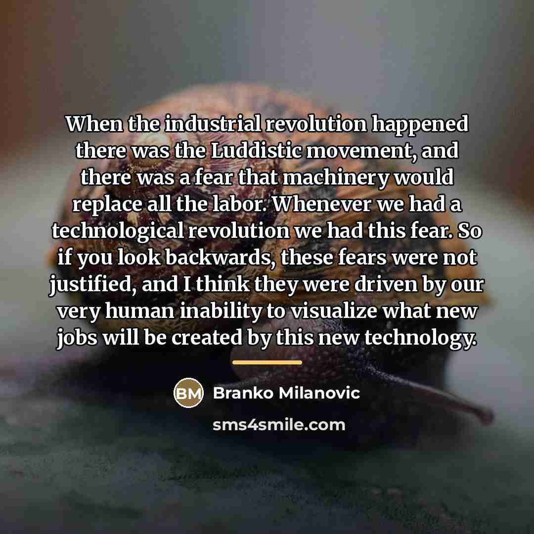 “When the industrial revolution happened there was the Luddistic movement,…” quote by Branko Milanovic