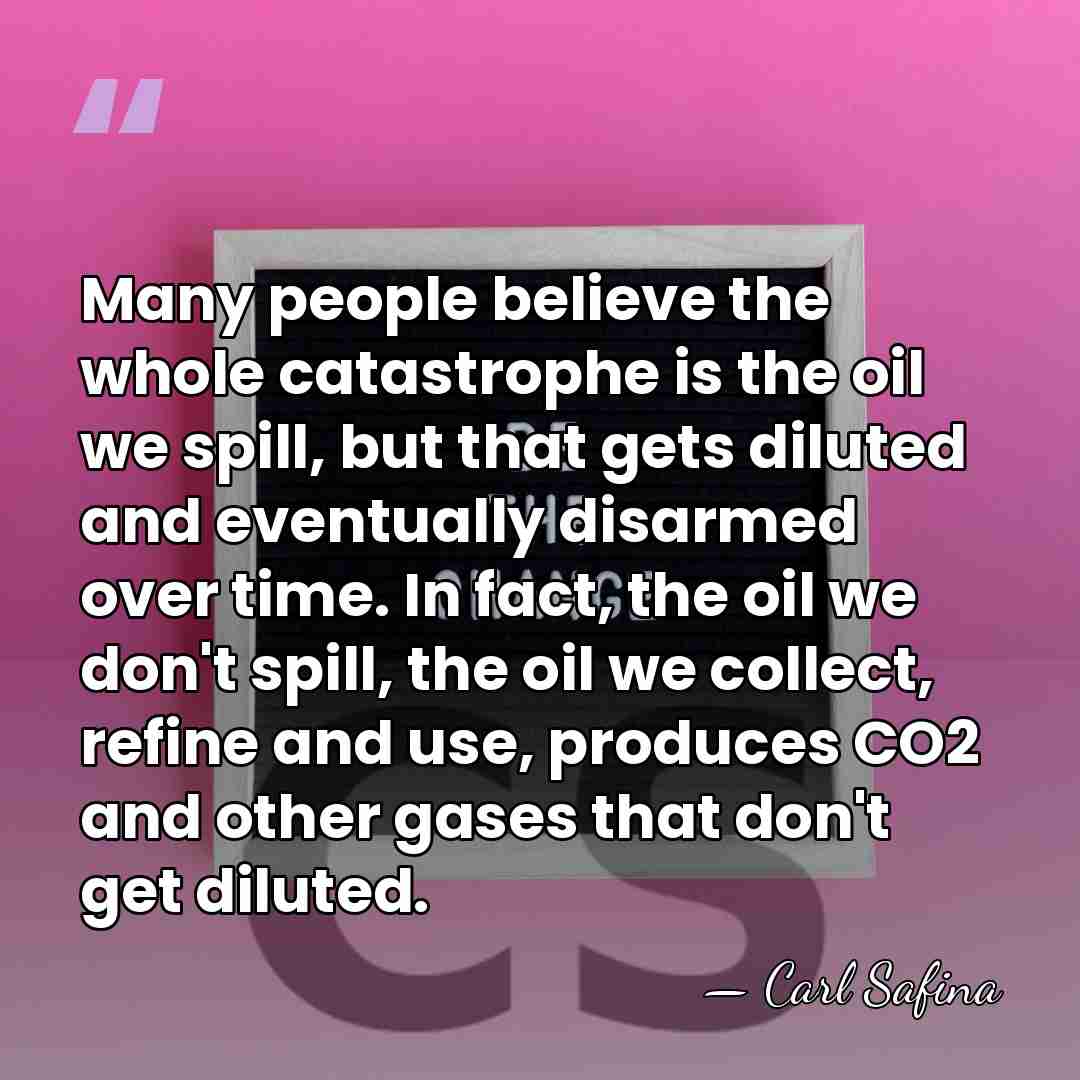 Many people believe the whole catastrophe is the oil we spill, but&hellip; - Carl Safina