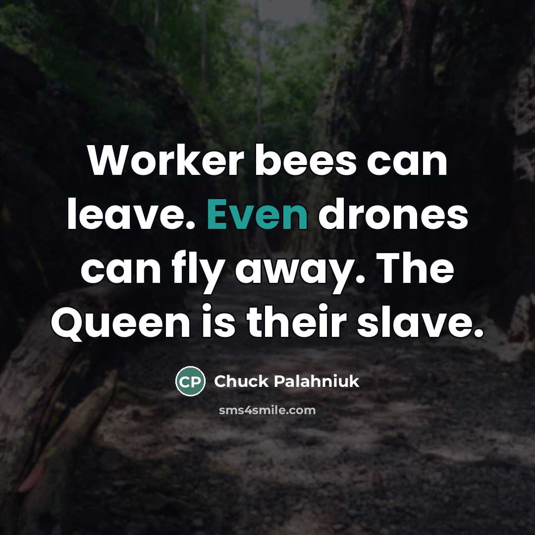 “Worker bees can leave. Even drones can fly away. The…” quote by Chuck Palahniuk