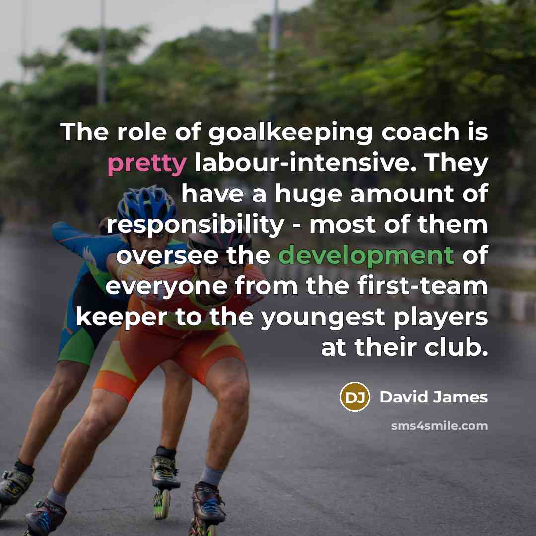 “The role of goalkeeping coach is pretty labour-intensive. They have…” quote by David James