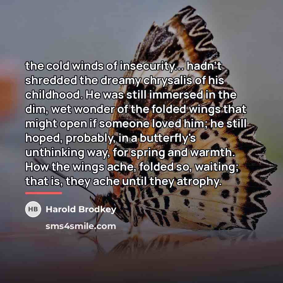 “the cold winds of insecurity... hadn't shredded the dreamy chrysalis…” quote by Harold Brodkey