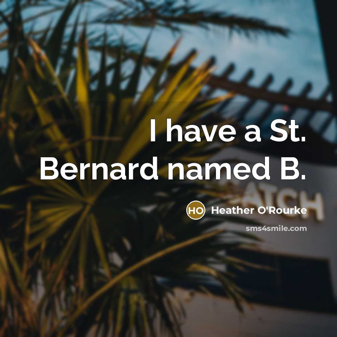 “I have a St. Bernard named B.…” quote by Heather O'Rourke