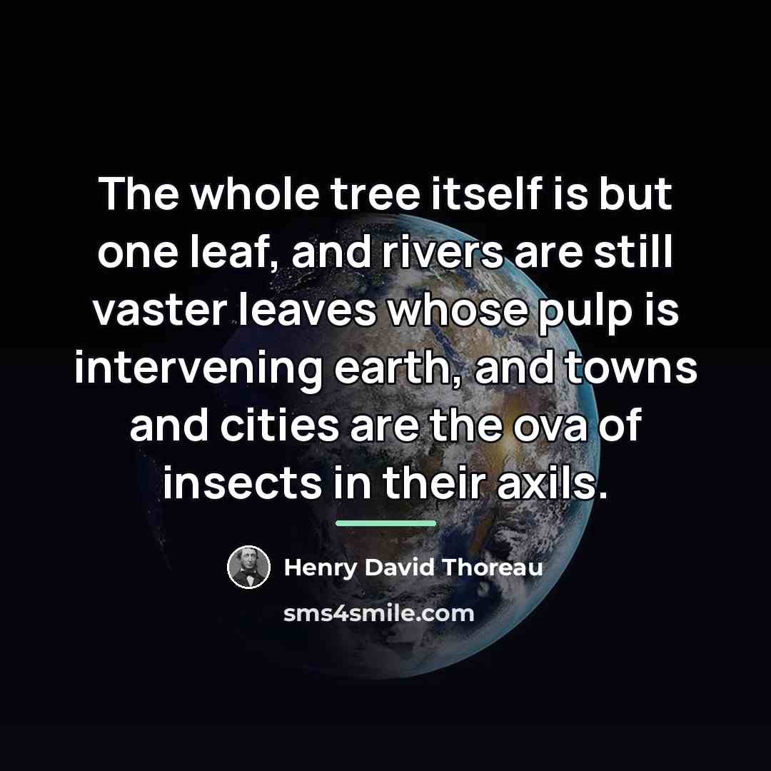 “The whole tree itself is but one leaf, and rivers…” quote by Henry David Thoreau