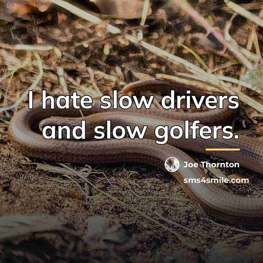 “I hate slow drivers and slow golfers.…” quote by Joe Thornton