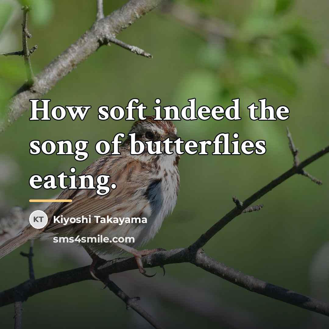 “How soft indeed the song of butterflies eating.…” quote by Kiyoshi Takayama