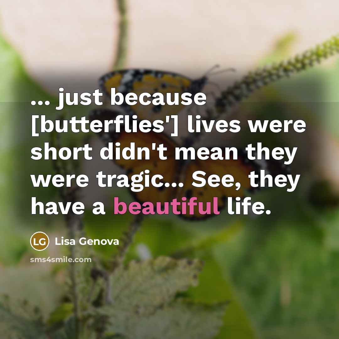“... just because [butterflies'] lives were short didn't mean they…” quote by Lisa Genova