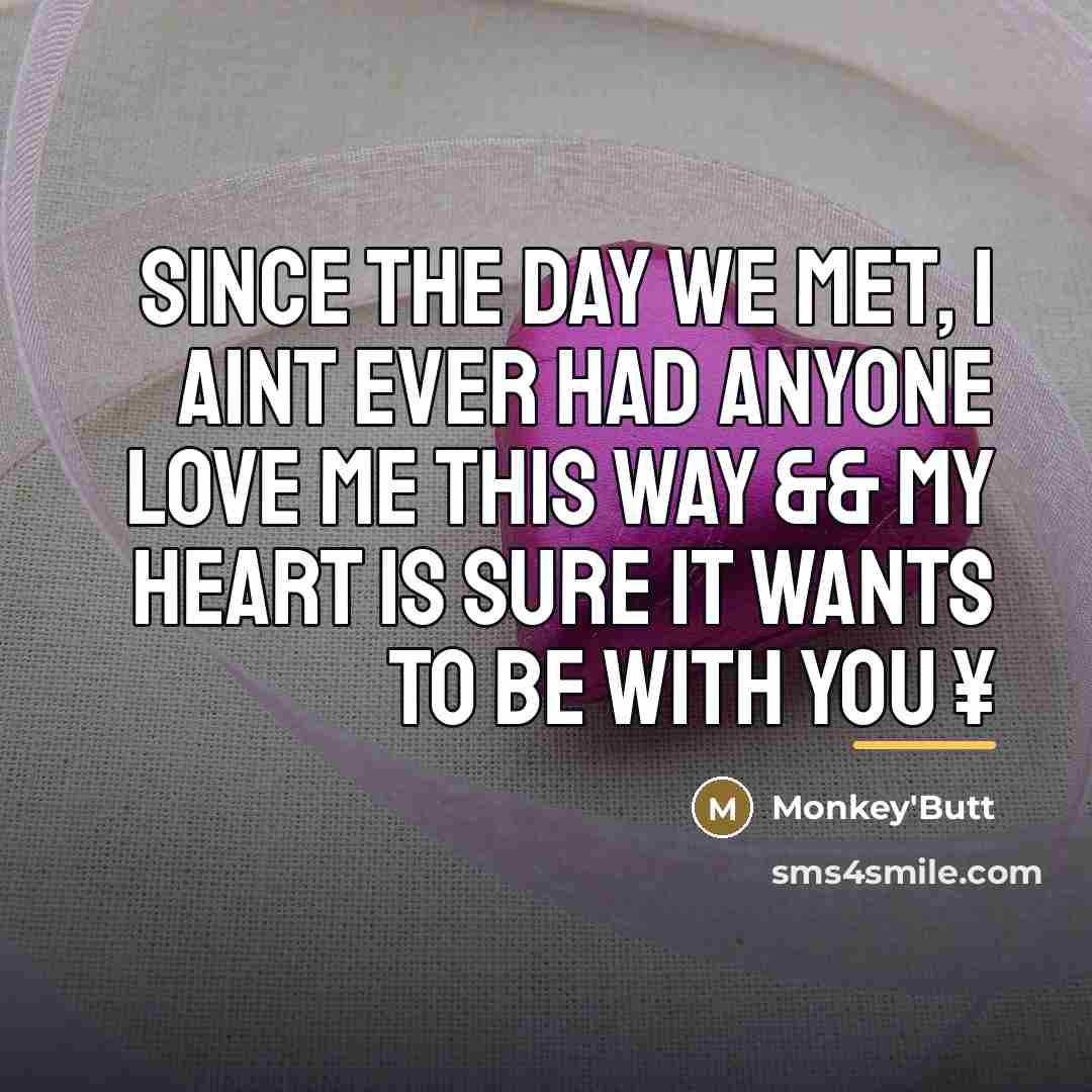 “Since the day we met, I aint ever had anyone…” quote by Monkey'Butt