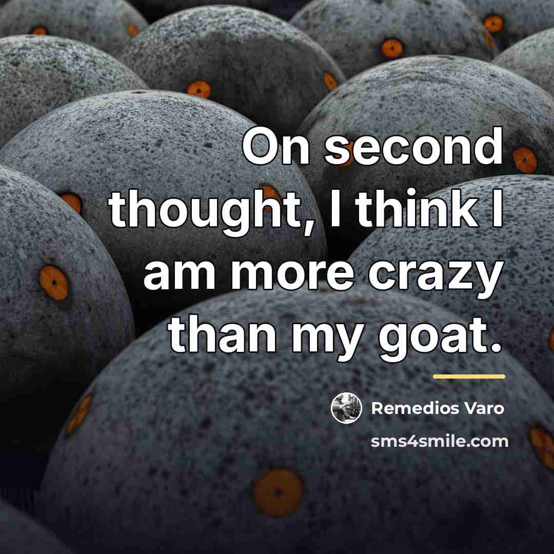 “On second thought, I think I am more crazy than…” quote by Remedios Varo
