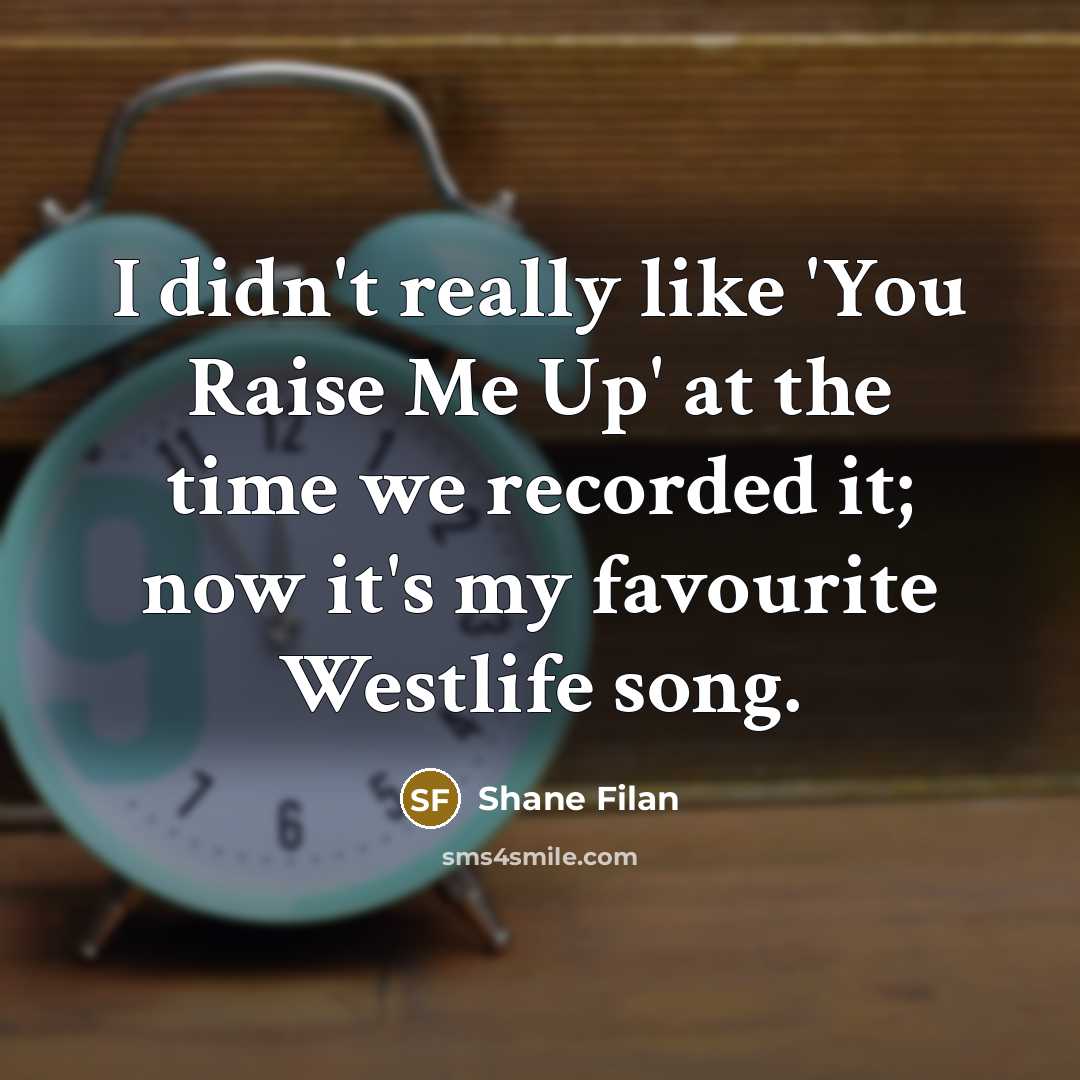 “I didn't really like 'You Raise Me Up' at the…” quote by Shane Filan