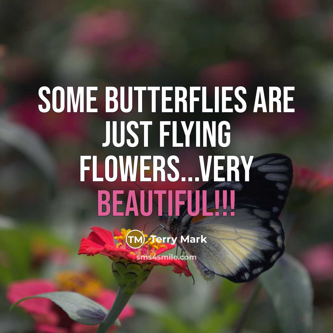 “Some butterflies are just flying flowers...very beautiful!!!” quote by Terry Mark
