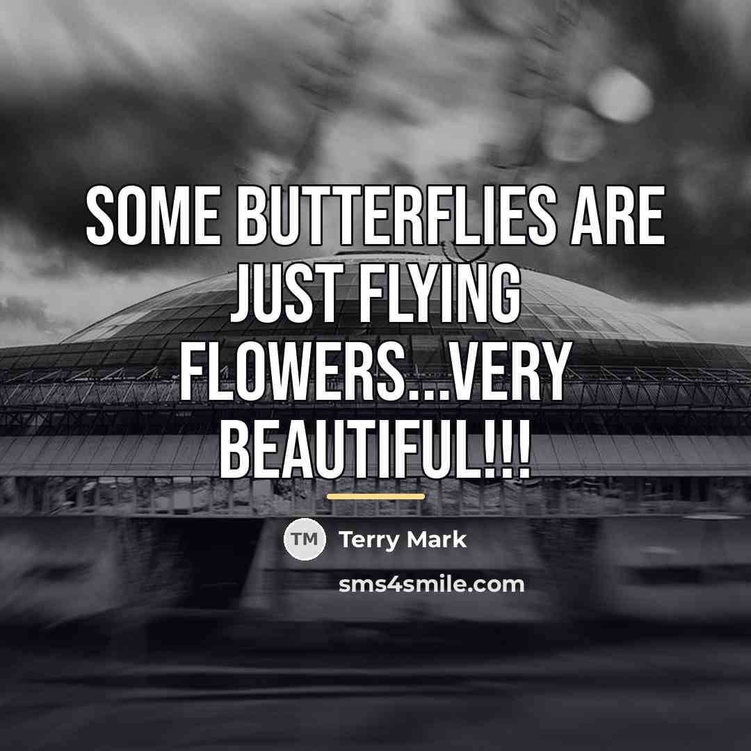 “Some butterflies are just flying flowers...very beautiful!!!…” quote by Terry Mark